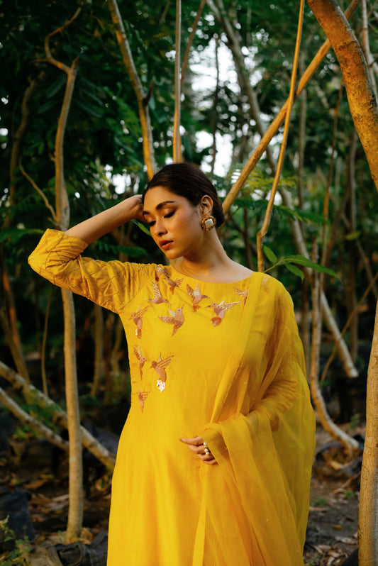 Udaan (yellow)